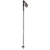 Image de Salomon Quest Carbon Foldable Accessoires Noir 130 cm