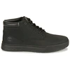 Image de Baskets montantes Timberland  MAPLE GROVE LEATHER CHUKKA