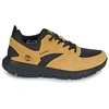 Image de Baskets basses Timberland  VOYAGER PARK