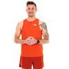 Image de The North Face Summit High Trail Run Vêtements homme Rouge XL