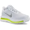 Image de Nike Pegasus Premium Race Series Chaussures femme Gris/argent 40