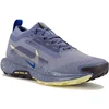 Image de Nike Pegasus Trail 5 Gore-Tex Chaussures femme Violet 40