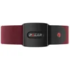 Image de Polar Verity Sense S-L Accessoires Rouge TU