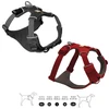 Image de Harnais Front Range pour chien - Ruffwear