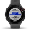 Image de Garmin Forerunner 55 Électronique Gris/argent TU