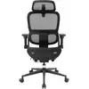 Image de B300 Pro Chaise de bureau ergonomique - Noir / Standard B300-Pro-M101