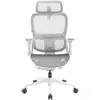 Image de B300 Pro Chaise de bureau ergonomique - Blanc / Standard B300-Pro-M102