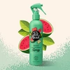 Image de Spray Furtastic, démélant parfum PASTEQUE 300 ml - PET HEAD