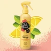 Image de Spray felin' Good, shampoing sans rinçage LEMON BERRY 300 ml - PET HEAD