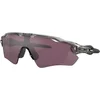 Image de Oakley Radar EV Path Prizm Road Black Accessoires Gris/argent TU