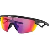 Image de Oakley Sphaera Prizm Road Accessoires Noir TU