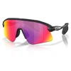 Image de Oakley Stunt Devil Prizm Road Accessoires Noir TU