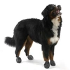 Image de Bottine / chaussettes de protection pour chien - PAWZ