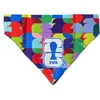 Image de FIFA 2026 - Bandana pour chien