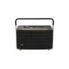 Image de Authentics 300 - Enceinte sans fil intelligente avec Wi-Fi et Bluetooth integre.