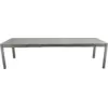 Image de Table Rectangulaire Extensible 149/299 x 100 cm Ribambelle en Aluminium Métal