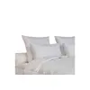 Image de TITANIUM 65X65 70% DUVET OIE ET CANARD