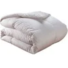 Image de PLEIN CIEL 70% DUVET OIE ET CANARD