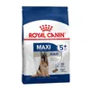 Image de Maxi Adult 5+ Royal Canin. Croquettes chien adulte de grande taille.