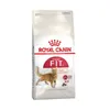 Image de Croquettes pour chat Royal Canin Fit