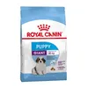 Image de Giant puppy - Royal Canin, croquettes pour chiot