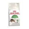 Image de Croquettes Royal Canin Outdoor pour chat
