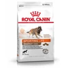 Image de Energy 4300 - Royal Canin