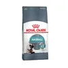 Image de Croquettes Royal Canin Intense Hairball pour chat