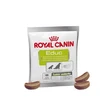 Image de Friandise Training Treats - Royal Canin