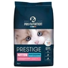Image de Flatazor Prestige Chaton Kitten