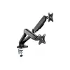 Image de ERGO LINE - Double bras support articule pour moniteur - noir