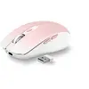 Image de GRADIENT - Souris sans fil rechargeable DUAL CONNECT - rose