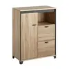 Image de Rangement 1 porte 2 tiroirs Gregory Bois