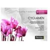 Image de CYCLAMEN 140 X 200 CM