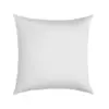 Image de Lot de 2 oreillers 100% plumettes de Canard Candice 60 x 60 cm