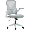 Image de HOMCOM Chaise bureau ergonomique, fauteuil de bureau maille, dossier rabattable, accoudoirs relevables, 73x62x101-111cm, gris