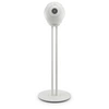 Image de Tree Phantom White