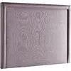 Image de STELLAI ROSE 160