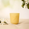 Image de Fleur d'Oranger Royale Bougie 180g