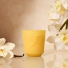 Image de Vanille Eternelle Bougie 180g