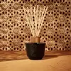 Image de Secret d'Orient Diffuseur 100ml