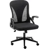 Image de ERGO EFC01UF