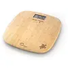 Image de Soft Bambou Tortue USB-R