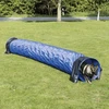 Image de Tunnel Agility Training Concept