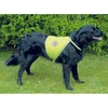 Image de Chasuble de sécurité pour chien