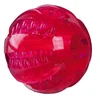 Image de Jouet pour chien Denta Fun balle