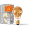 Image de Lampe LED classique à filament LEDVANCE SMART+ Wifi E27 6 W 470 lm, 2 200 5 000 K, blanc réglable