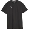 Image de Puma T-shirt Noir C001 Hommes