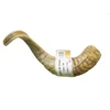Image de Corne de mouton