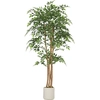 Image de HOMCOM Banian artificiel Plante artificielle avec tronc en bois massif, pot, pour salon chambre bureau 75 x 75 x 180 cm Vert